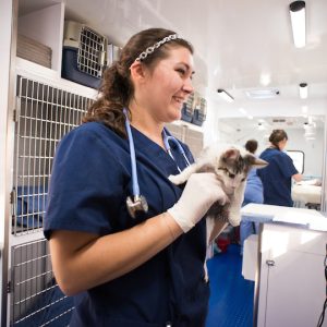 Veterinary Services: Quality Care for Your Pet
