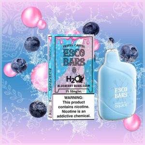 Esco Bars H2O Disposable Vape: Dive into Refreshing Vaping Bliss